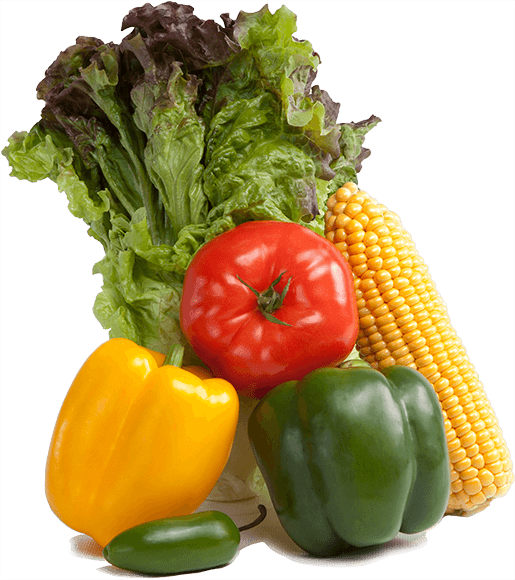 an arrangement of vegetables including lettuce, a tomato, an ear of corn, two bell peppers, and a jalapeno pepper